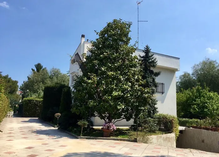 Amendola Alojamento de Acomodação e Pequeno-almoço